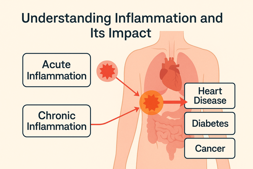 understanding inflammation diagram